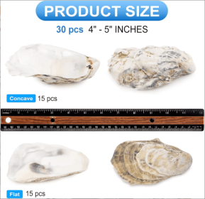 30pcs Oyster Shells With Pearl Bulk Natural Oyster Shells For Crafts DIY Arts Xmas Ornaments (Option: 4to5 inch)
